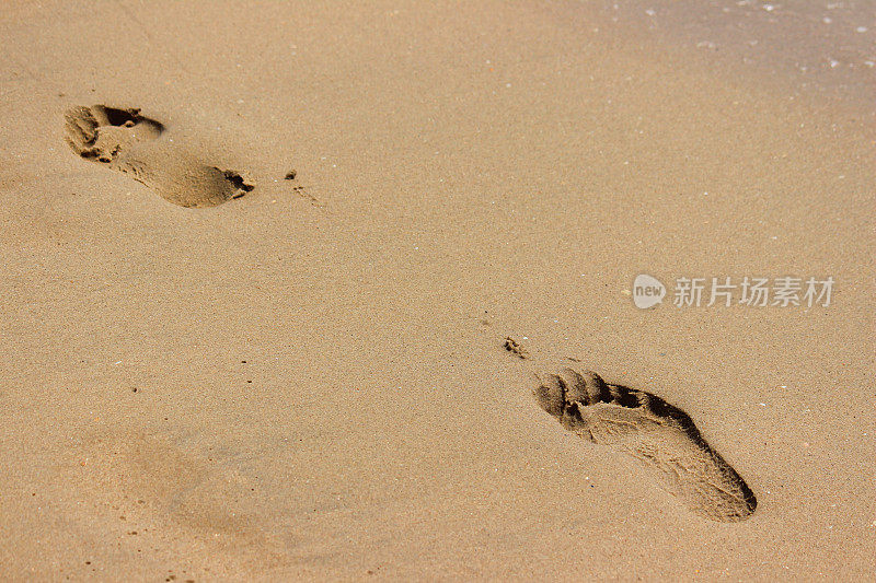 潮湿的金色沙滩上的英国海滩上的脚印树从一个人赤脚/光脚沿海边沙滩上没有鞋子，显示男人的脚印象和足迹脚趾印痕，海滨度假的背景在夏天